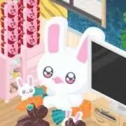 うさぎ様