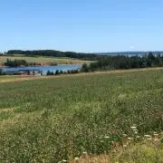 はまぴつの画像