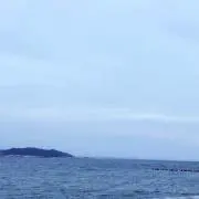 Sea222