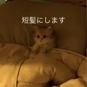 ぱも