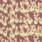 うさぎの画像