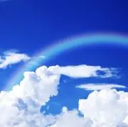 ミントの画像