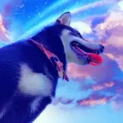 ニックの画像