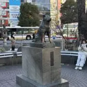 つぶれうめの画像