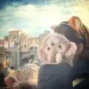 あたいだよの画像