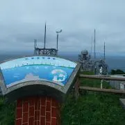 さいぱんだの画像