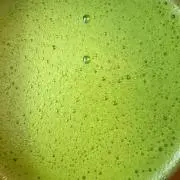ムクの画像