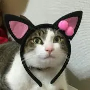 ★なっちゃん☆