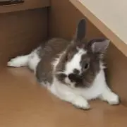日向ぼこ