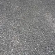 ねこり