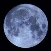 ＊TOM ＊発送平日のみの画像