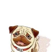 しまたっち