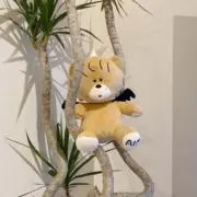 Tの画像