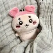 みみみの画像