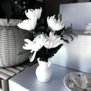 遺品過多の画像