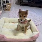 erinaの画像