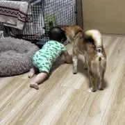 あいちゃろ⚠️プロフ必読お願いします⚠️の画像