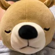 ららの画像