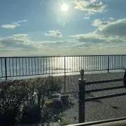 ももの画像