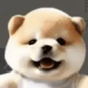 もんちの画像