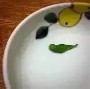 TVZの画像