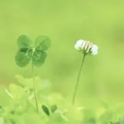 ☆YU☆〜即購入OK❣️の画像