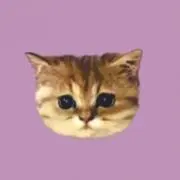 みさきの画像