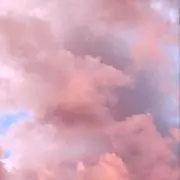 ひつじの画像