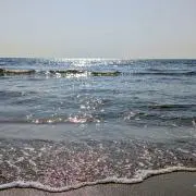 SOmの画像