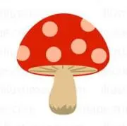 きのこの画像