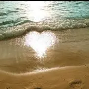 chi-roruの画像