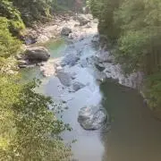 めらちゃん
