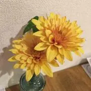 マル