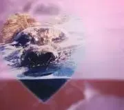 くじら