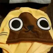 Kitcat