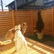 まーさん