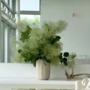 Moco♡Tara