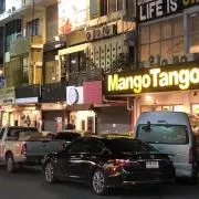 ぴよまるの画像