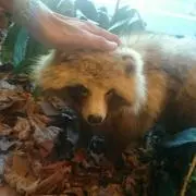 ヒロ