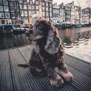 まーの画像