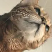 nanaの画像