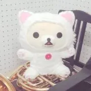 よっしーの画像