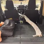 タビズキの画像