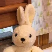 PECOの画像