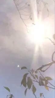 hikari*の画像