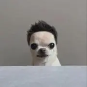 なへえの画像