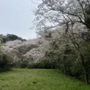 BALUGAの画像