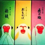 cogaの画像