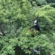 ジェンパリオ