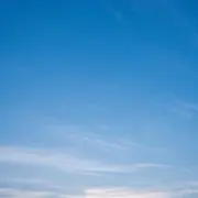 COCOの画像